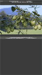 Mobile Screenshot of chbcp.net